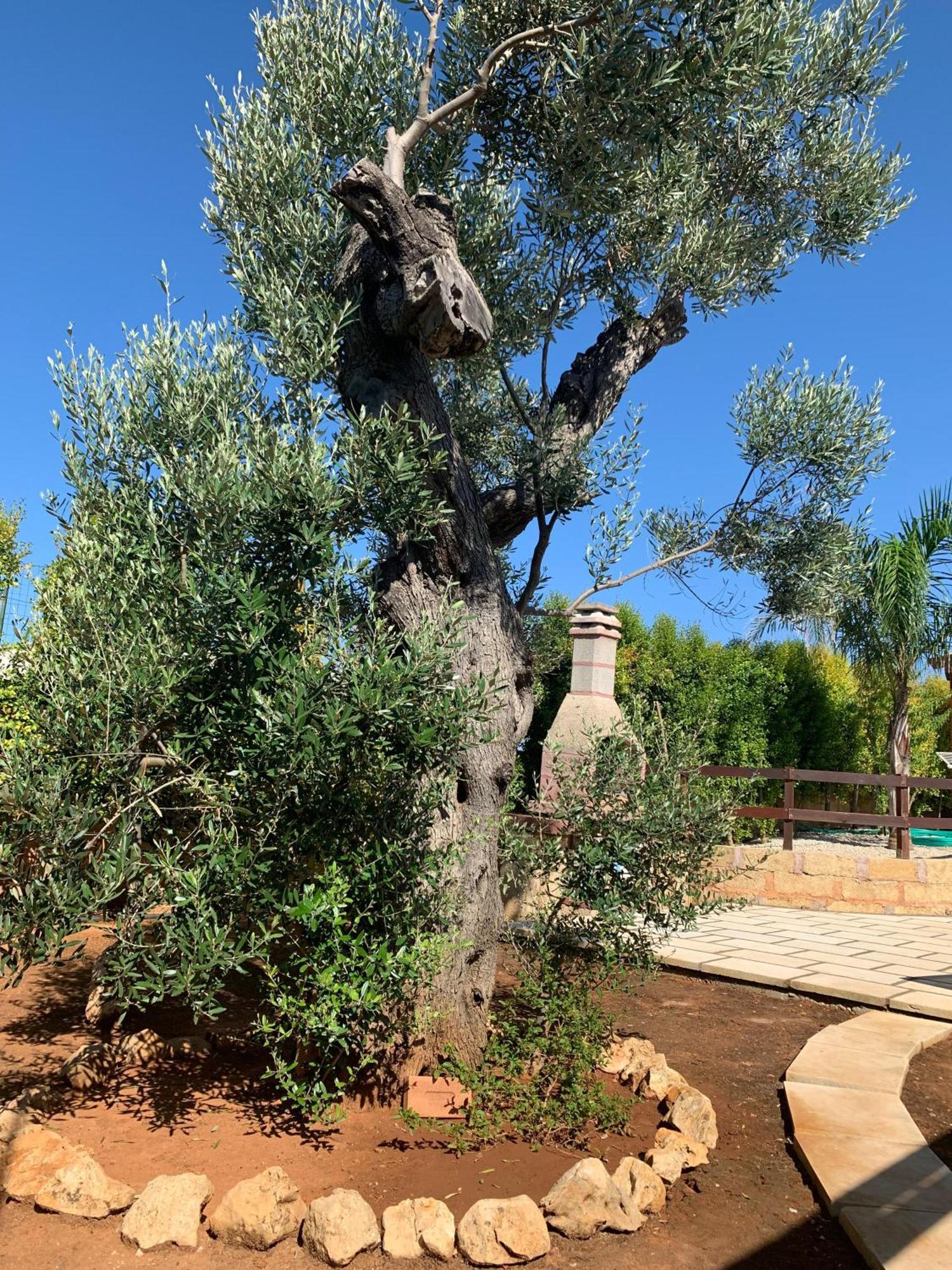 Villetta Mari Con Piscina Esclusiva Nel Salento Capilungo Exterior foto